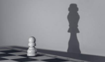 Trans Management